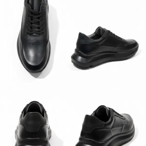 کتانی مونیخ بندی